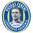 Puskás Akadémia FC